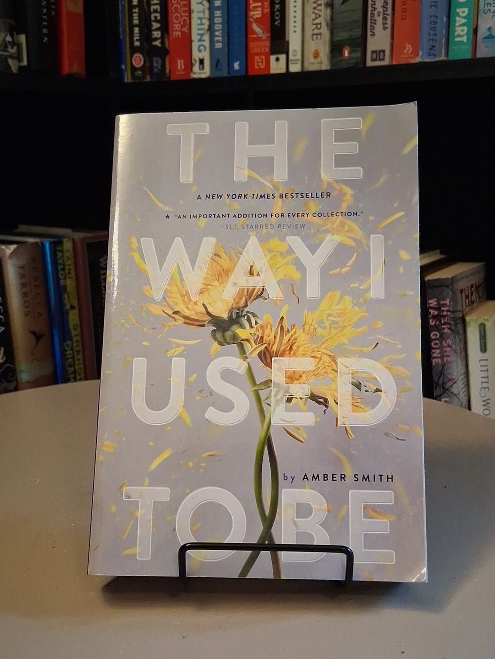 The Way I Used to Be By Amber Smith